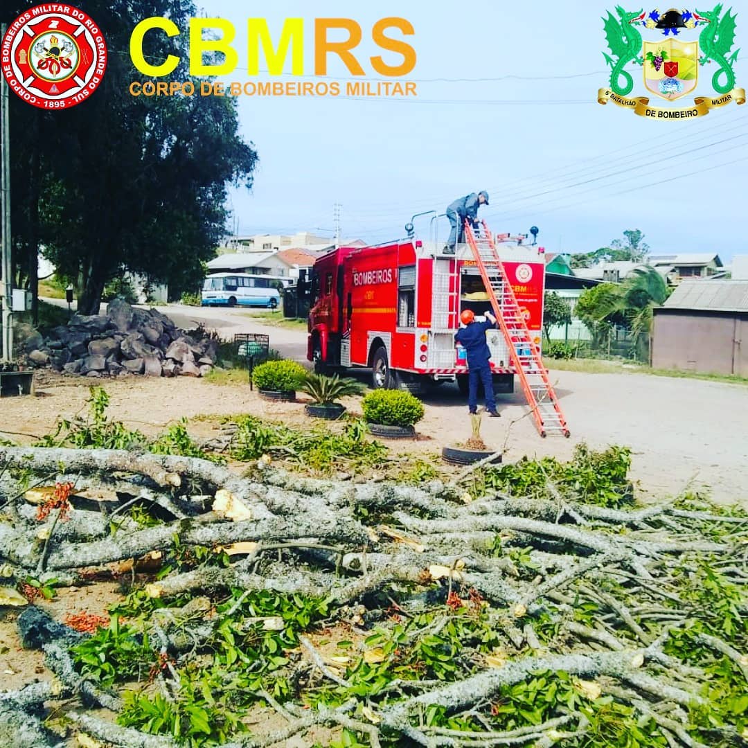 O Corpo de Bombeiros Militar do Rio Grande do Sul - CBMRS - atendeu a uma ocorrência de corte de árvore