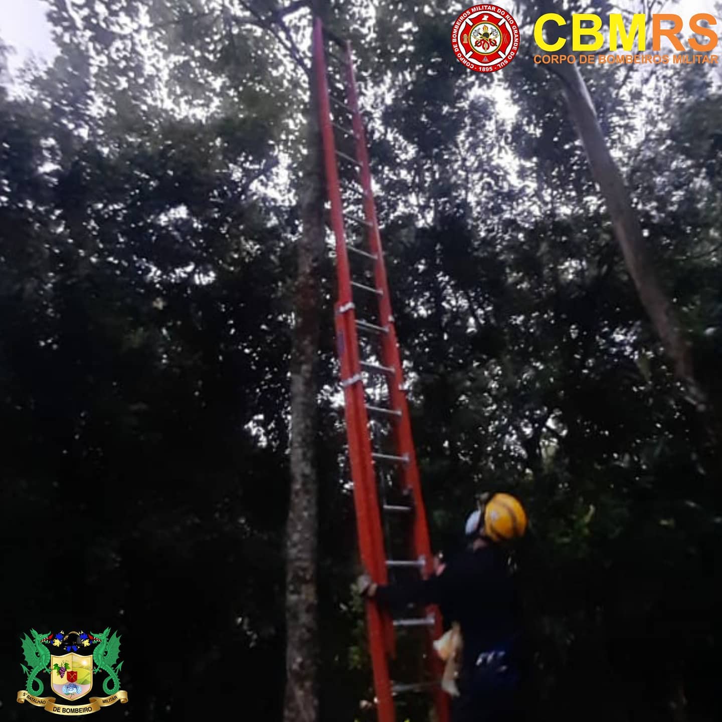 O Corpo de Bombeiros Militar do Rio Grande do Sul - CBMRS - por meio do 5ºBBM/1ª Companhia de Bombeiro Militar realizou um salvamento de animal