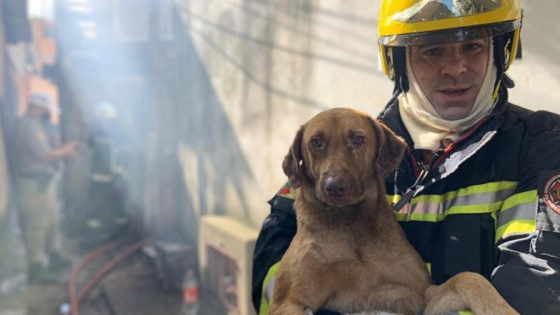 Bombeiro Militar a paisana efetua resgate na Zona Sul de Porto Alegre